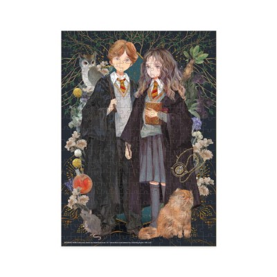 Puzzle-Harry-Potter---Hermione-si-Ronald--300-piese-DO200499