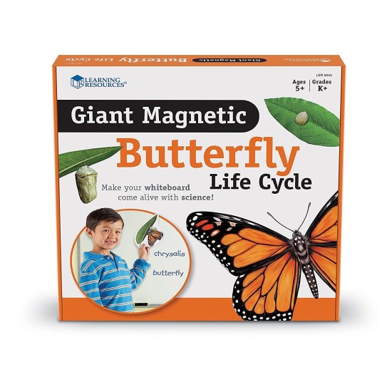 Ciclul-vietii-fluturelui---set-magnetic-LER6043