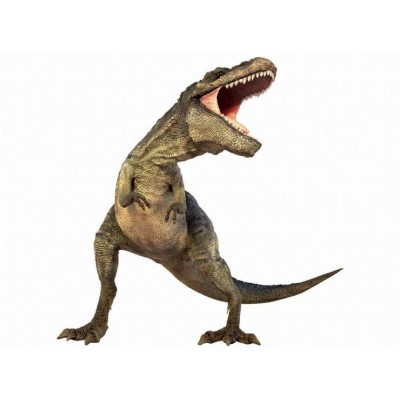 Diapozitive---Dinozauri-N5102