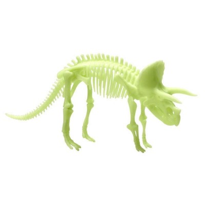 Schelet-Triceratops-reflectorizant-B8804
