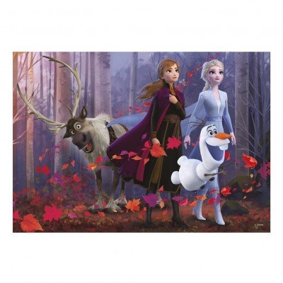 Puzzle---Frozen-II-300-piese-XL-472211