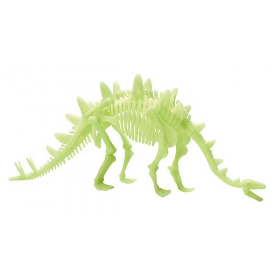 Schelet-Stegosaurus-reflectorizant-B8805