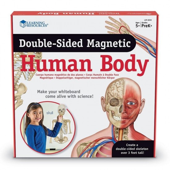 Corpul-uman---set-magnetic-LER6044