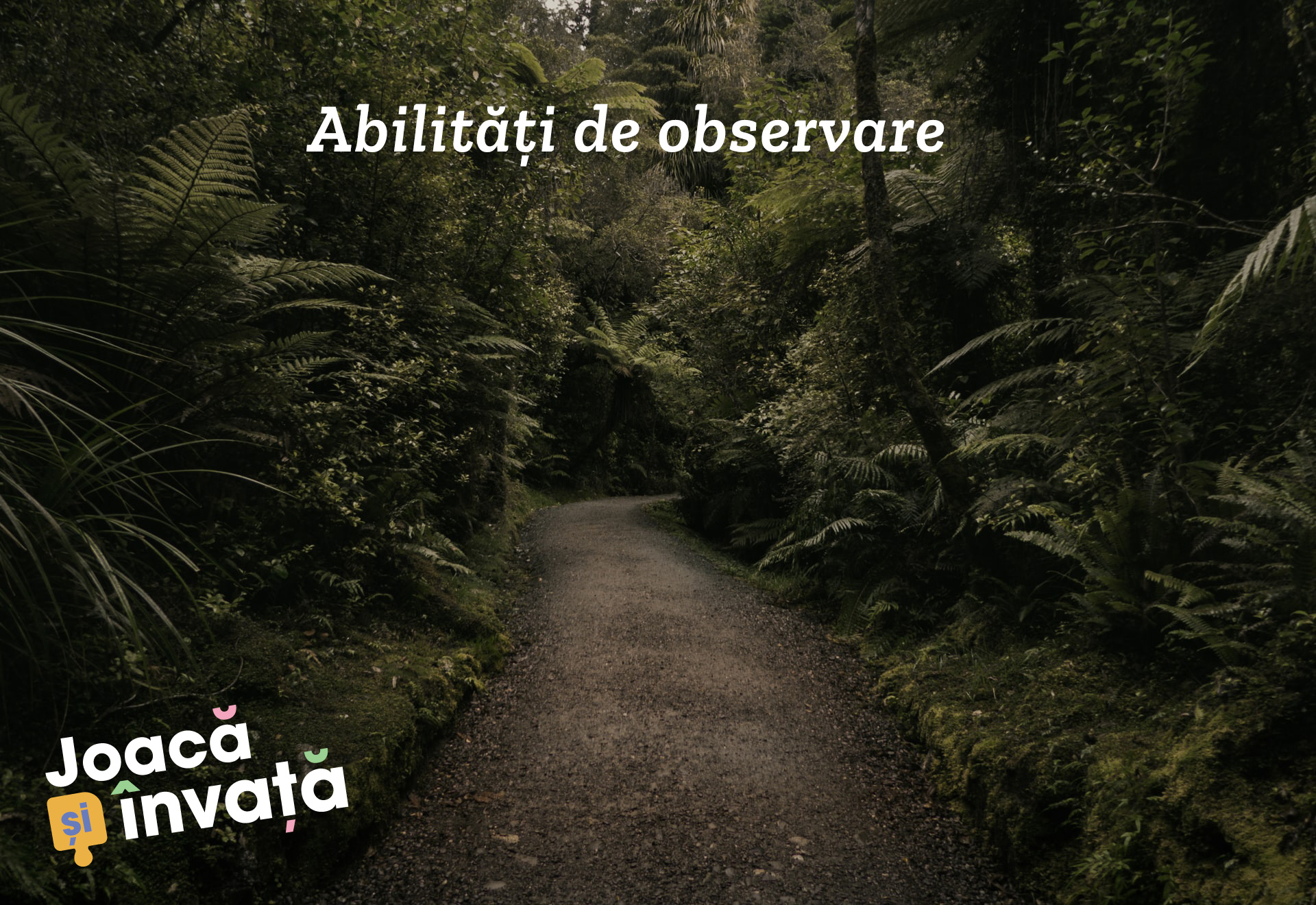 abilitati-de-observare